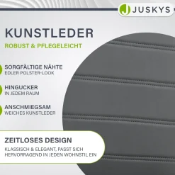 Freischwinger Stuhl Vegas mit Kunstleder Moderner Esszimmerstuhl mit Metall-Gestell & Kunstleder im Set