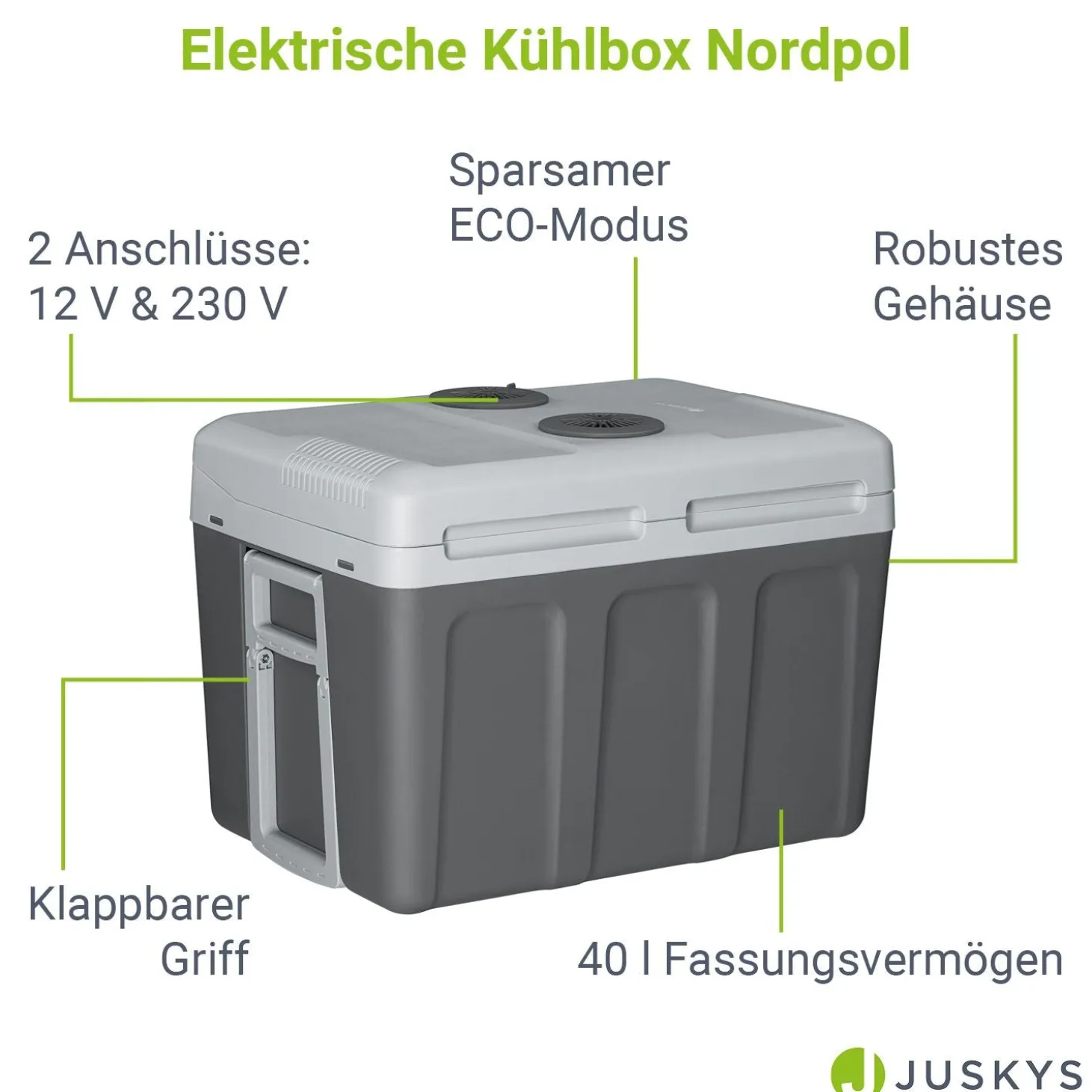 Kühlbox Nordpol Elektrische Kühlbox mit praktischem 12 V und 230 V Anschluss